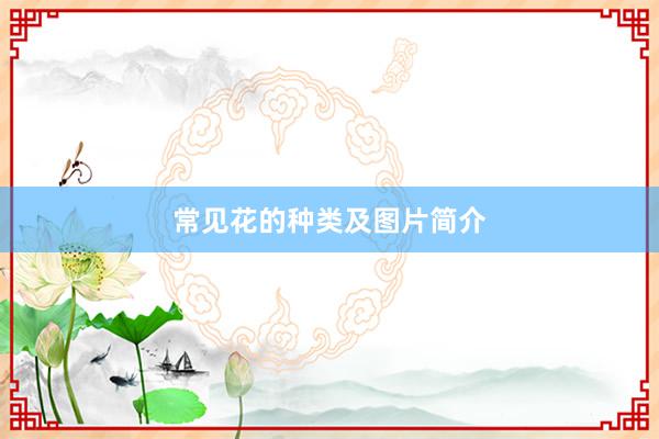 常见花的种类及图片简介