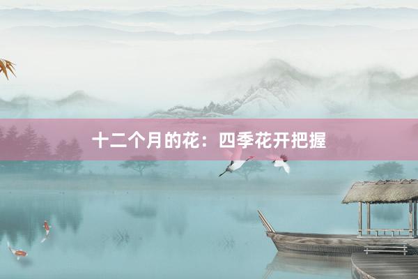 十二个月的花：四季花开把握