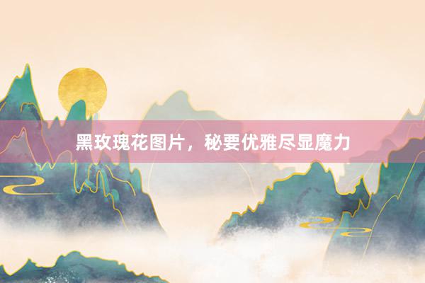 黑玫瑰花图片，秘要优雅尽显魔力